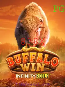 Explorando o Mundo de BuffaloWin: Um Guia Completo
